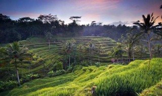 巴厘岛拍照要注意（巴厘岛拍照要注意些什么）