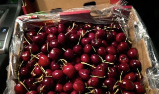 车厘子收到后怎么保存 车厘子收到后怎么保存时间长