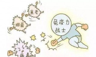 防止病毒要注意哪几点 防止病毒要注意哪几点方面