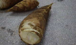 带土的笋怎么保存（带土的笋怎么保存不会坏）