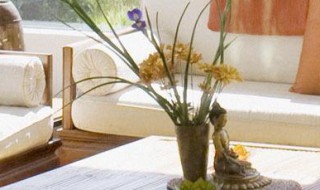 怎么祛除苯味 怎么去除苯酚味道