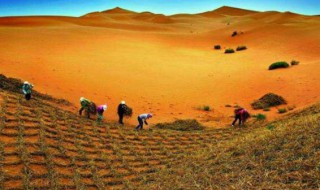 我国沙漠面积有多少（我国沙漠面积有多少公顷）