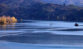 煤油和水的密度哪个大 煤油和水的密度哪个大些