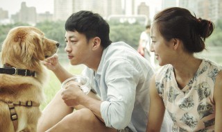 何润东和张钧甯演过的电视剧有哪些 何润东和张钧甯演过的电视剧有哪些