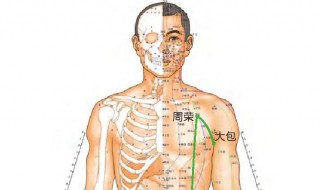 冲门的准确位置及作用（气冲和冲门的准确位置及作用）