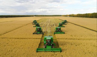 有能打水田又能收稻子的机器吗 有能打水田又能收稻子的机器吗视频