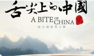 舌尖上的中国粽子是哪一集（舌尖上的中国嘉兴粽子是哪一集）