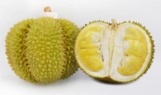 甲仑榴莲如何辨认是否成熟 甲仑榴莲成熟期