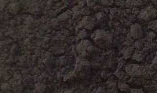 二氧化锰的氧化反应 二氧化锰的氧化反应式