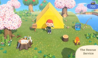 动物之森switch带什么东西(switch动物之森怎么卖东西)