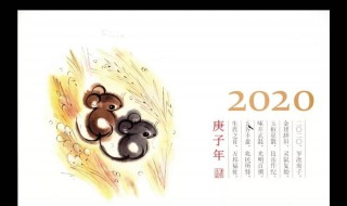 2020庚子年需要注意（2020庚子年本命年需要注意什么）