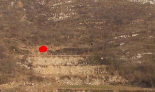 迁坟的注意事项有什么(迁坟的注意事项有什么?)