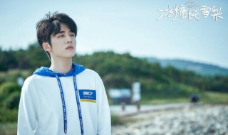 冰糖炖雪梨怎么播 冰糖炖雪梨怎么播放视频