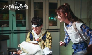 冰糖炖雪梨中的黎语冰是谁演的 冰糖炖雪梨电视剧黎语冰结局