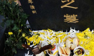 清明上坟用什么花（清明上坟用什么花好）