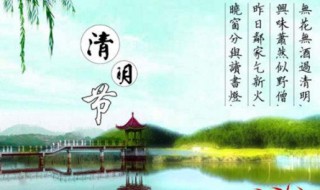 清明节的天气好吗 清明节天气很好