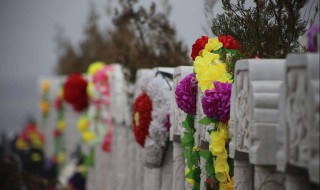 寒食节上坟有什么讲究 寒食节上坟有忌讳吗