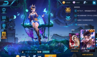 怎么查看王者英雄皮肤语音（怎么查看王者英雄皮肤语音包）