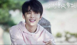 冰糖炖雪梨是甜文么 冰糖炖雪梨有番外吗