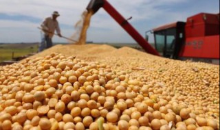 世界粮食出口国有几个 世界主要的粮食出口国