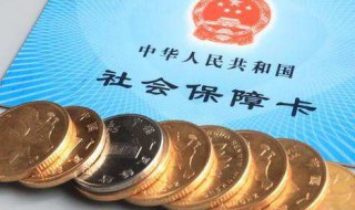 养老金是养老保险金吗（养老金是养老保险金吗怎么查）