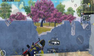 和平精英的地图是哪个地方 和平精英的地图是哪个地方的