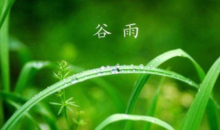 2020谷雨是哪天（2022年谷雨是哪一天）