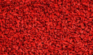 什么人群不适合吃枸杞子（什么人群不适合吃枸杞子泡水）