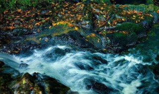 小石潭记景物顺序 小石潭记各段依次写了哪些景物