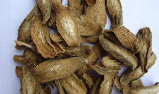 哪些人不适合用牛蒡根 哪些人不适合用牛蒡根泡水