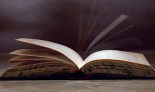 石壕吏作者为什么不阻止 在石壕吏一诗中,作者为什么不组织吏捉人的行为