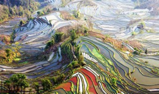 云南省有哪些世界文化遗产?（云南省有哪些世界文化遗产名录）