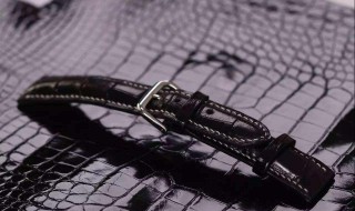 皮质表带脏了怎么清洗 皮质表带脏了如何清洗