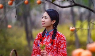 柿子红了电视剧演员表（柿子红了电视剧主演是谁）