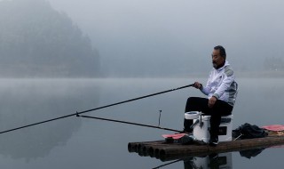 一天中钓白条最好时间（钓白条最快方法）