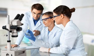 细胞内有氨基酸吗（细胞内的氨基酸从哪里来的）