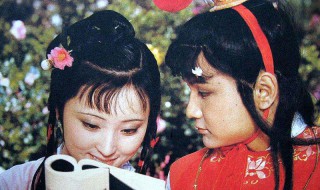 红楼梦第十一章到二十赏析（红楼梦第十一回章节概括）