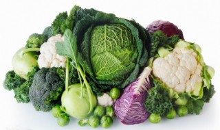 1一12月种蔬菜表 1一12月种蔬菜表四川