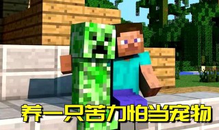 我的世界怎么变成苦力怕啊 我的世界苦力怕是怎么变好的?