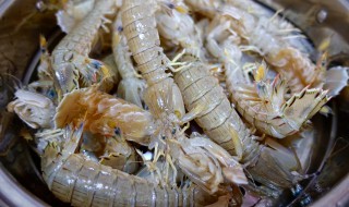 虾能不能和莴苣一起吃（虾可以和莴苣一起吃吗）