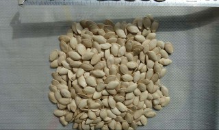 哪些人不适合吃南瓜瓜子（哪些人不能吃南瓜和南瓜子）