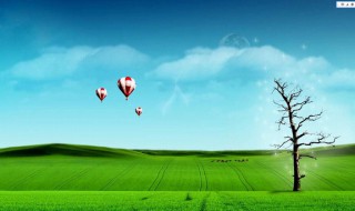 树干是树的茎吗 树干是植物的茎吗