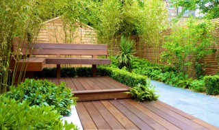 庭院栽竹子有什么讲究 庭院栽种竹子好吗