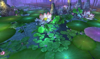 倩女幽魂手游关联手机怎么取消（倩女幽魂手游关联手机怎么取消不了）