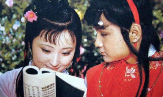 红楼梦23回概括 红楼梦23回概括50字左右