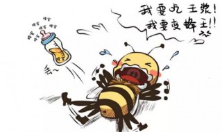 新手怎样养十几只工蜂带王（六种人不宜养蜂）