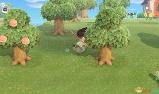 动物森友会可以选南半球吗（动物森友会怎么选南北半球）