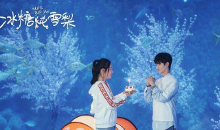 黎语冰和棠雪是什么时候在一起的(黎语冰和棠雪是什么时候在一起的小说)