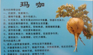 玛卡怎么使用有什么效果（玛卡片怎么用效果最好）