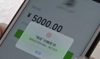 手机转账转错了怎么退回来啊（用手机银行给别人转账被骗怎么追回）